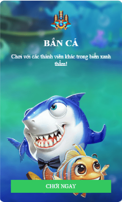 Trang chủ 51