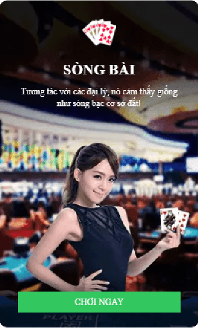 Trang chủ 51